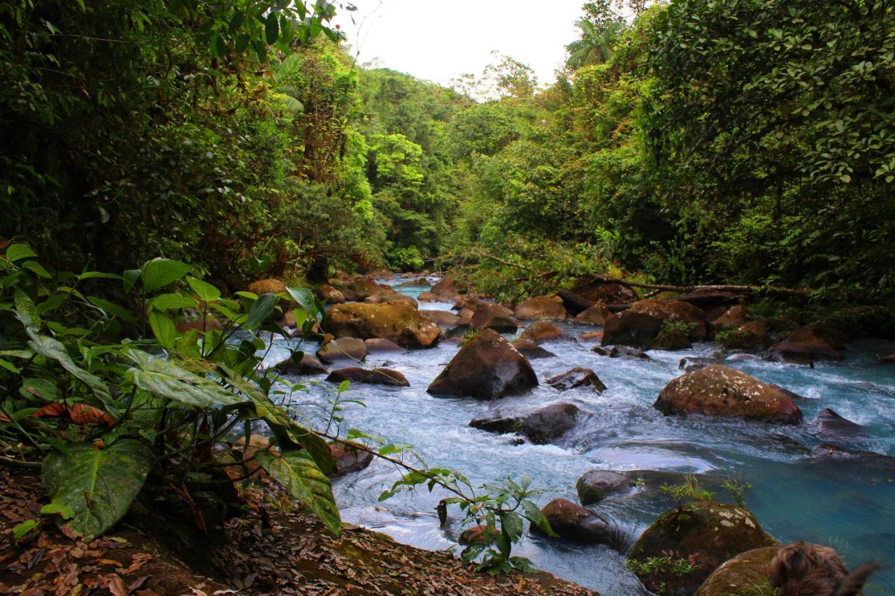 Rio Celeste Nature View Upala Esterno foto